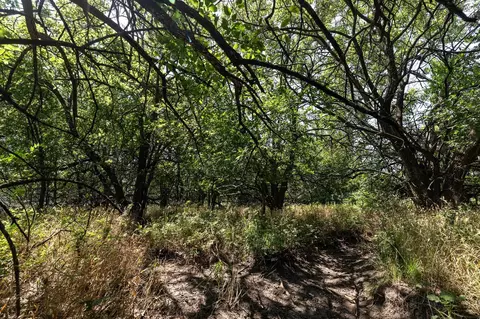 Exterior - 00000 201st Rd, Burden, KS 67019 photo 1 of 1