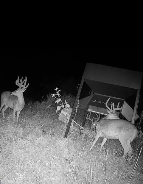 0 Coyote Rd, Gridley, KS 66852 photo 10