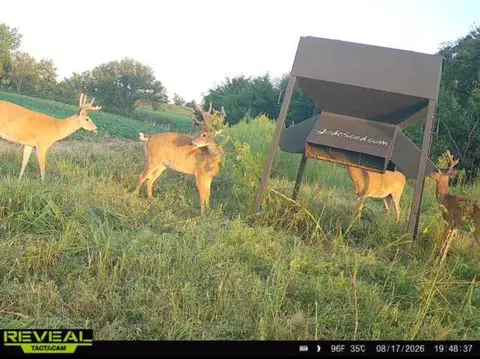 0 Coyote Rd, Gridley, KS 66852 photo 13