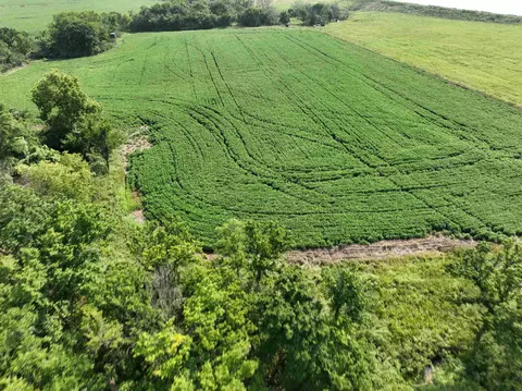 0 Coyote Rd, Gridley, KS 66852 photo 4