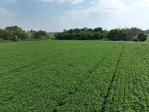 0 Coyote Rd, Gridley, KS 66852 photo 6