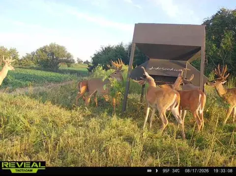 0 Coyote Rd, Gridley, KS 66852 photo 11