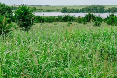 View/Area - 0 Rr Rd, Moline, KS 67353 photo 1 of 6