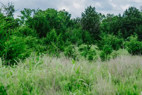 Other - 0 Rr Rd, Moline, KS 67353 photo 3 of 21