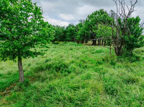View/Area - 0 Angus, Moline, KS 67353 photo 5 of 10