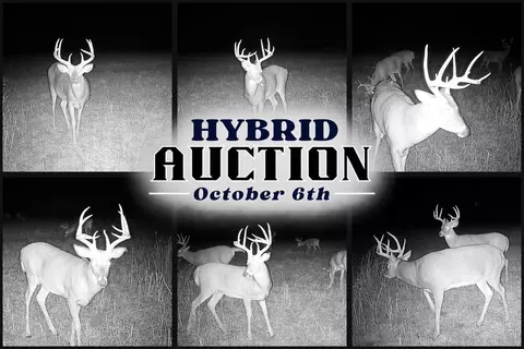 0000 Avenue Q, Little River, KS 67457