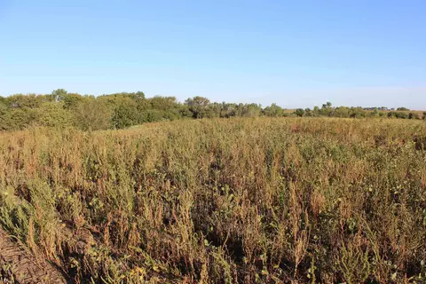 Other - 2001 Jade Rd, Aurora, KS 67417 photo 9 of 19