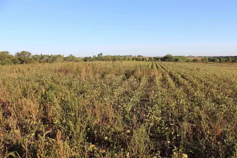 Other - 2001 Jade Rd, Aurora, KS 67417 photo 10 of 19