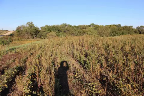 Other - 2001 Jade Rd, Aurora, KS 67417 photo 8 of 19