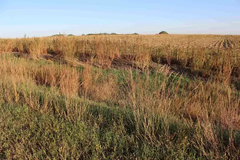 Other - 2001 Jade Rd, Aurora, KS 67417 photo 6 of 19