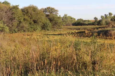 Other - 2001 Jade Rd, Aurora, KS 67417 photo 7 of 19