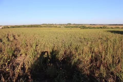 Other - 2001 Jade Rd, Aurora, KS 67417 photo 12 of 19