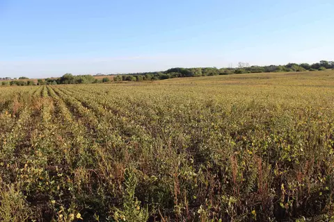 Other - 2001 Jade Rd, Aurora, KS 67417 photo 11 of 19