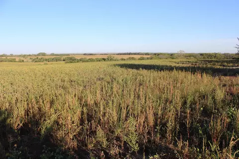 View/Area - 2001 Jade Rd, Aurora, KS 67417 photo 1 of 1