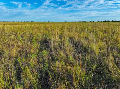 Other - 000 SE Bluestem Rd #TRACT 1 OF 2, Leon, KS 67074 photo 4 of 15