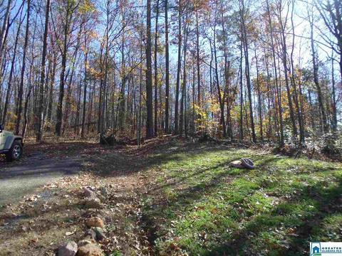 156 Pine St, Oneonta, AL 35121 photo 30
