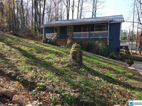 156 Pine St, Oneonta, AL 35121 photo 41
