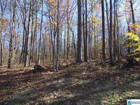 156 Pine St, Oneonta, AL 35121 photo 27