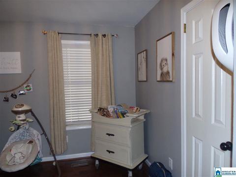156 Pine St, Oneonta, AL 35121 photo 13