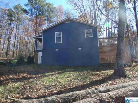 156 Pine St, Oneonta, AL 35121 photo 25