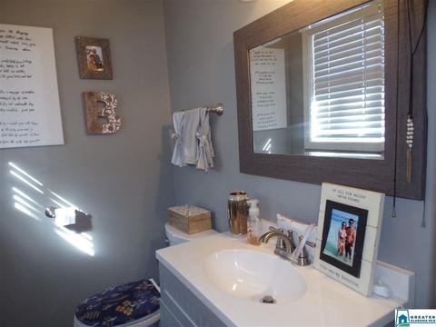 156 Pine St, Oneonta, AL 35121 photo 10