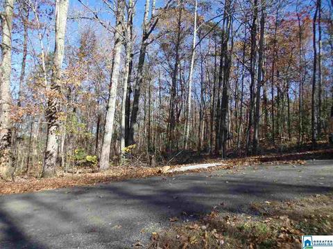 156 Pine St, Oneonta, AL 35121 photo 28