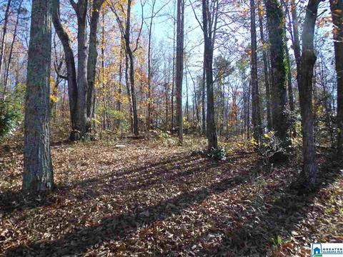 156 Pine St, Oneonta, AL 35121 photo 26