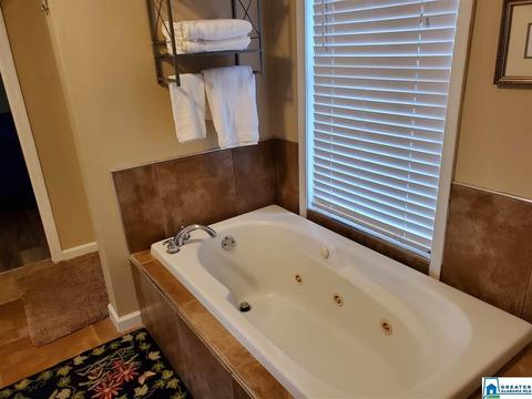 19 Rays Loop, Sylacauga, AL 35151 photo 7