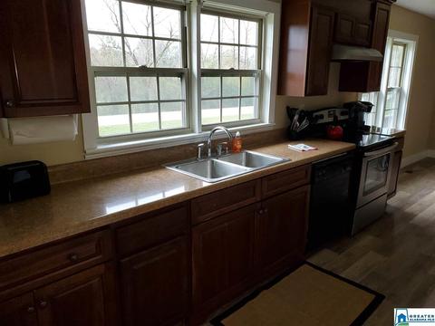 19 Rays Loop, Sylacauga, AL 35151 photo 10