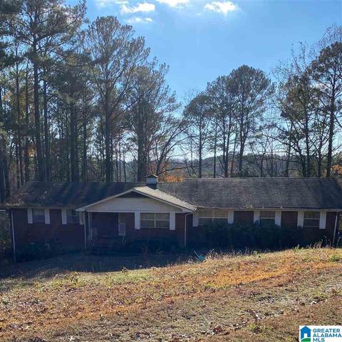21672 Olan Dr, Mc Calla, AL 35111 photo 1