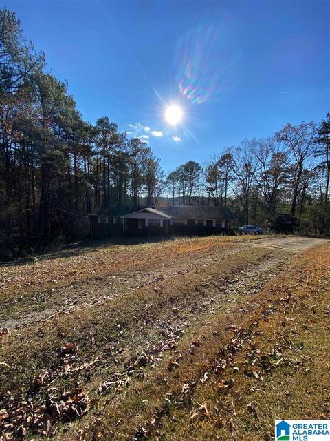 21672 Olan Dr, Mc Calla, AL 35111 photo 2