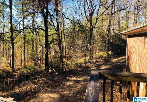 21672 Olan Dr, Mc Calla, AL 35111 photo 15