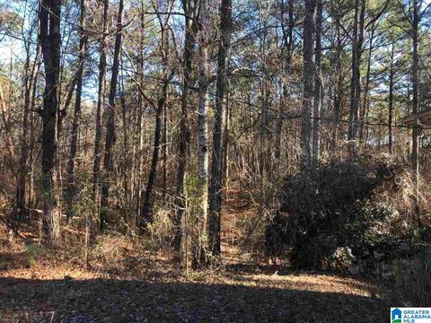 21672 Olan Dr, Mc Calla, AL 35111 photo 16