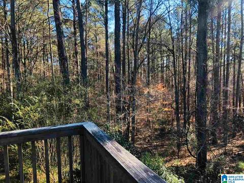 21672 Olan Dr, Mc Calla, AL 35111 photo 14