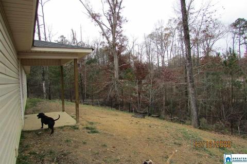 2275 Madison Loop, Southside, AL 35907 photo 24