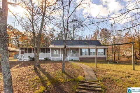 333 Riverview Ln, Ohatchee, AL 36271 photo 50