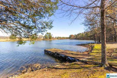333 Riverview Ln, Ohatchee, AL 36271 photo 48