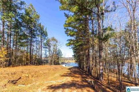 333 Riverview Ln, Ohatchee, AL 36271 photo 47