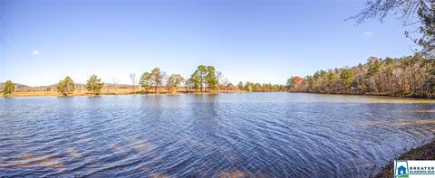 333 Riverview Ln, Ohatchee, AL 36271 photo 39