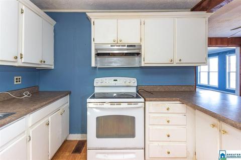 333 Riverview Ln, Ohatchee, AL 36271 photo 2