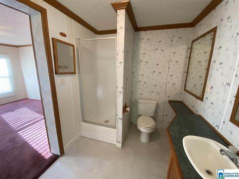 20008 Booler Rd, Vance, AL 35490 photo 10