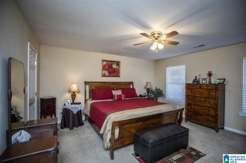 20992 Walaneut Ln, Vance, AL 35490 photo 9