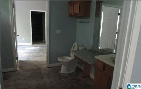 175 Cornelius Rd, Locust Fork, AL 35097 photo 5