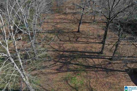 433 Arrow Rd, Jasper, AL 35501 photo 20