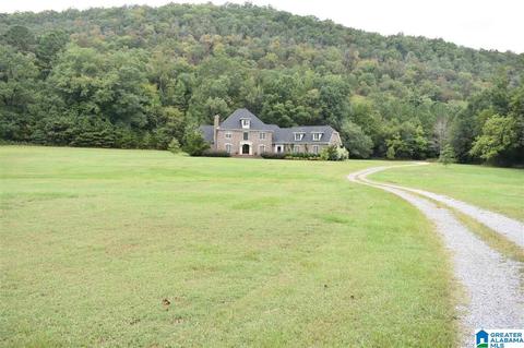 700 Fred Walker Rd, Oneonta, AL 35121 photo 9