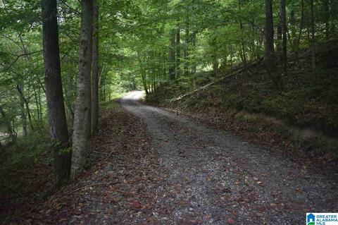 700 Fred Walker Rd, Oneonta, AL 35121 photo 7
