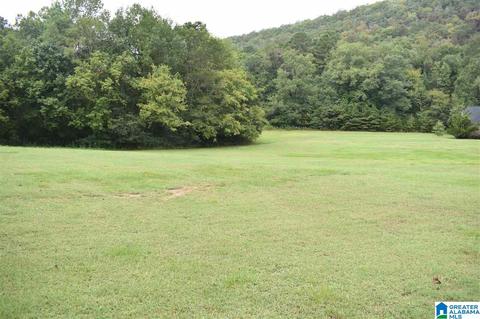 700 Fred Walker Rd, Oneonta, AL 35121 photo 10