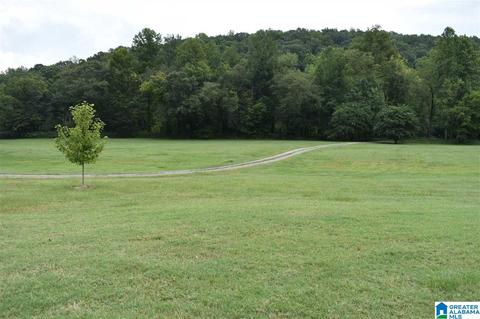 700 Fred Walker Rd, Oneonta, AL 35121 photo 46