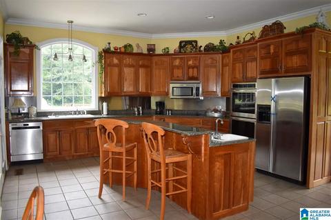 700 Fred Walker Rd, Oneonta, AL 35121 photo 17