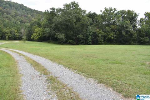 700 Fred Walker Rd, Oneonta, AL 35121 photo 8